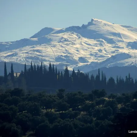 El Tinao La Zubia (Granada)